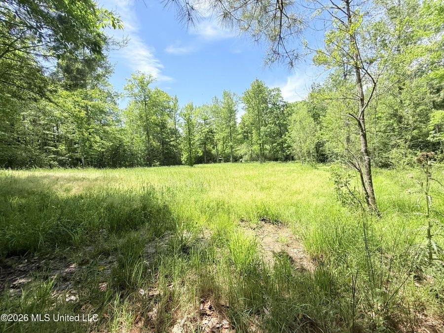 Property Image 64