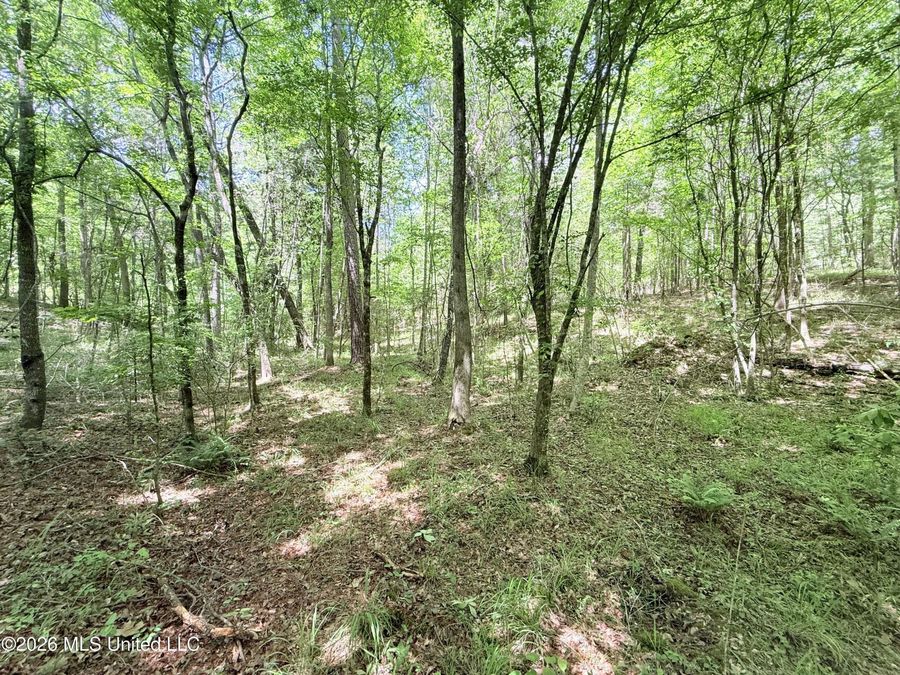 Property Image 67