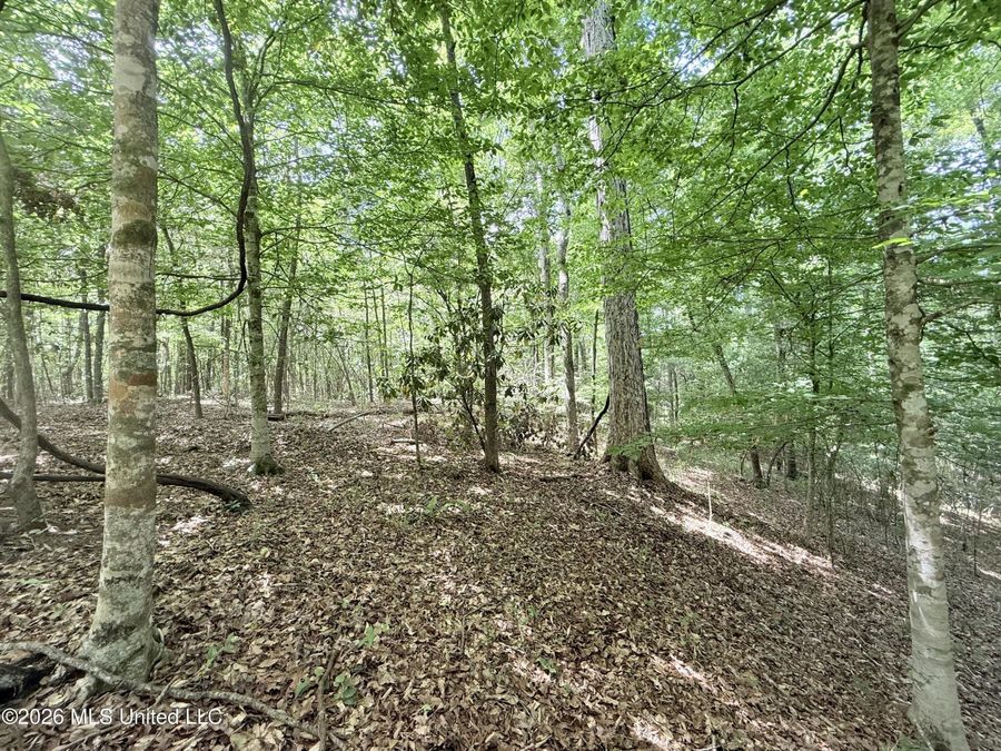 Property Image 80