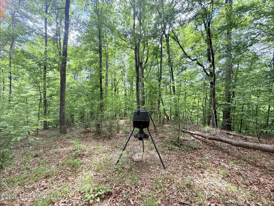 Property Image 85