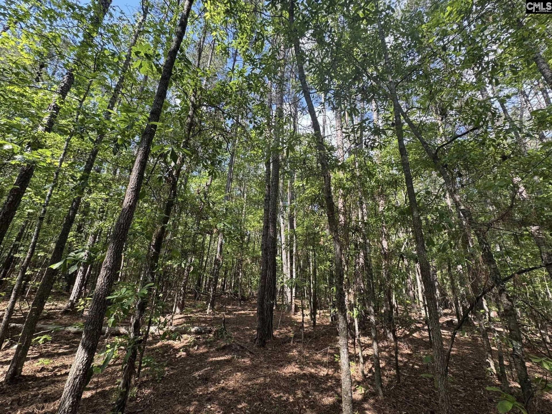 Hwy 76 W  Photo 20