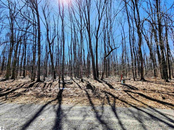 437 Crossbow Drive, Elmira, MI 49730