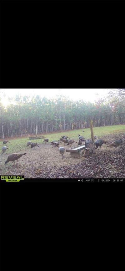 272 NE County Road 337, Trenton, FL 32693 Photo