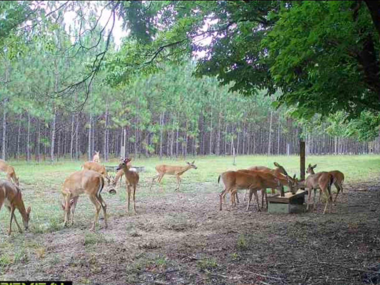 272 NE County Road 337, Trenton, FL 32693 Photo
