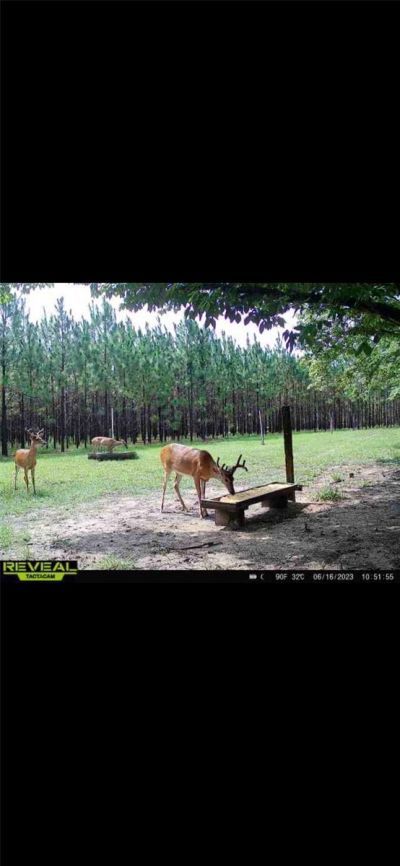 272 NE County Road 337, Trenton, FL 32693 Photo