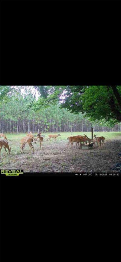 272 NE County Road 337, Trenton, FL 32693 Photo