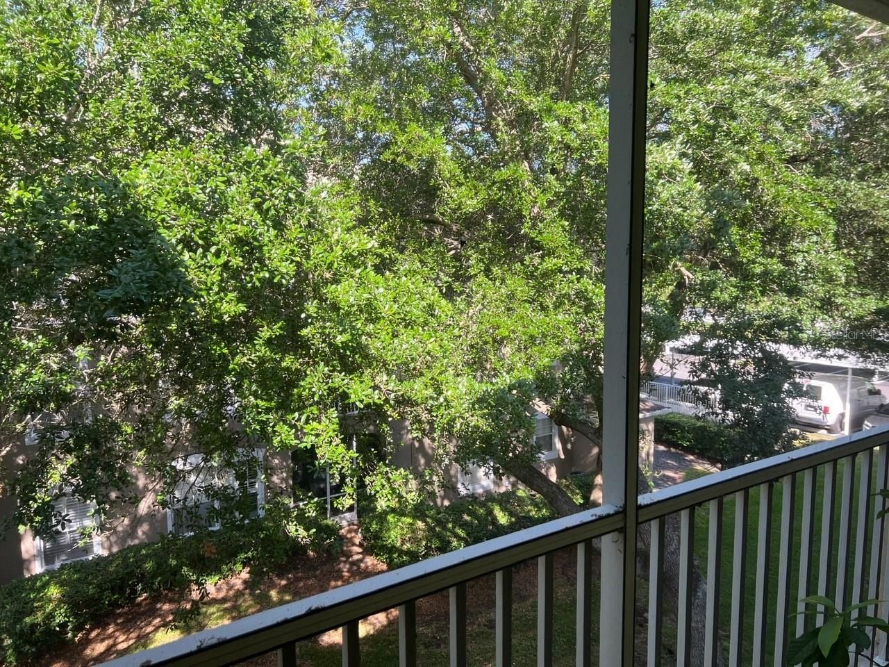 586 Brantley Terrace Way, Unit 307, Altamonte Springs, FL 32714 Photo