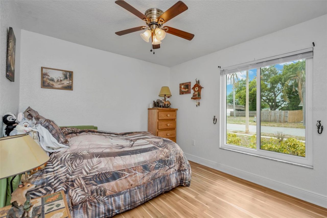 3538 Monte Rio Street , New Port Richey, FL 34655 Photo