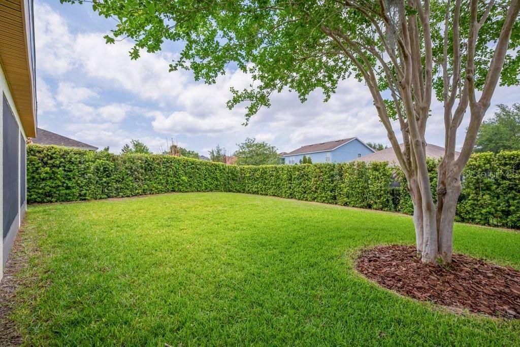 5119 Sanderling Ridge Drive , Lithia, FL 33547 Photo