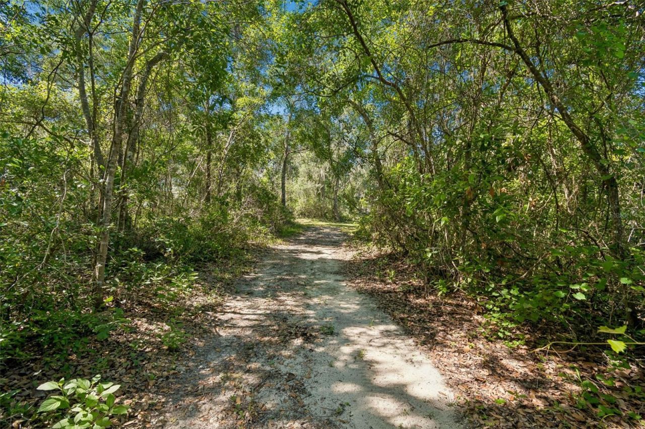 22535 Skyview Circle, Brooksville, FL 34602 Photo