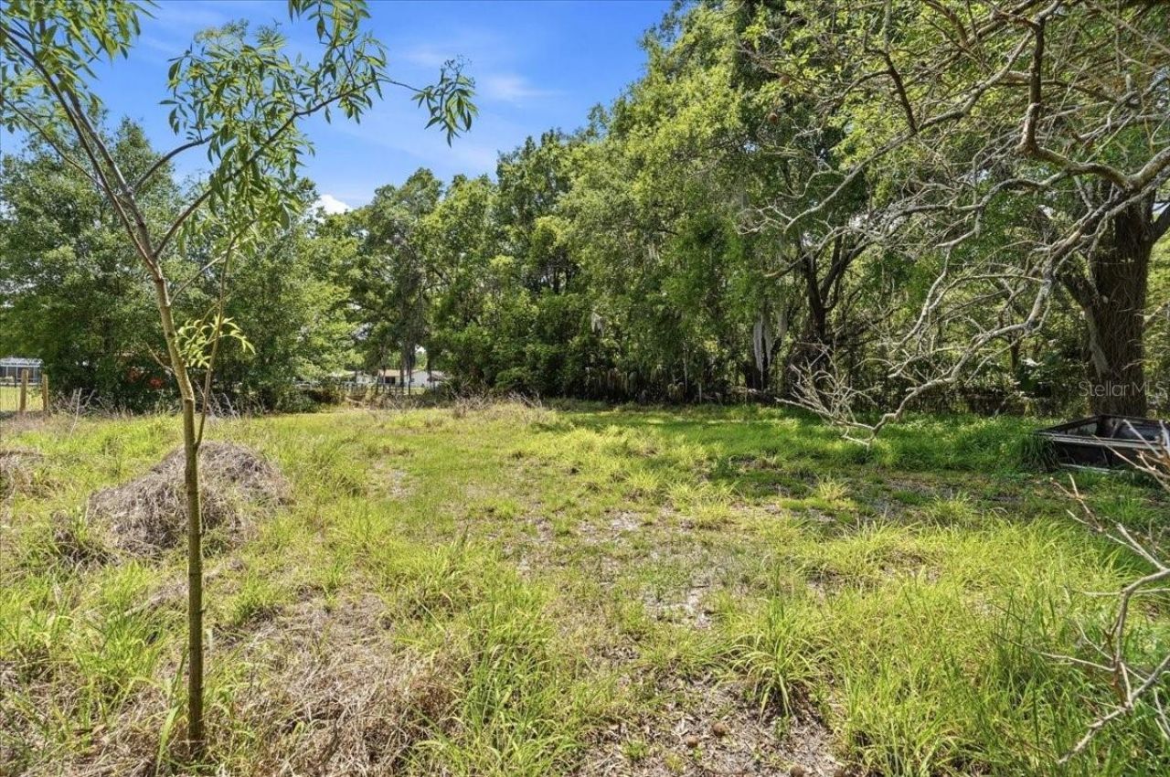 2515 Hebb Road, Auburndale, FL 33823 Photo