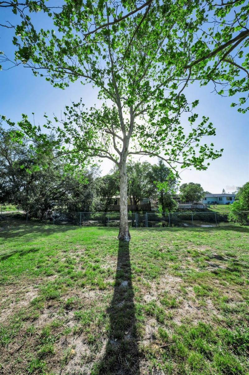 3011 Shadow Oaks Drive, Holiday, FL 34690 Photo