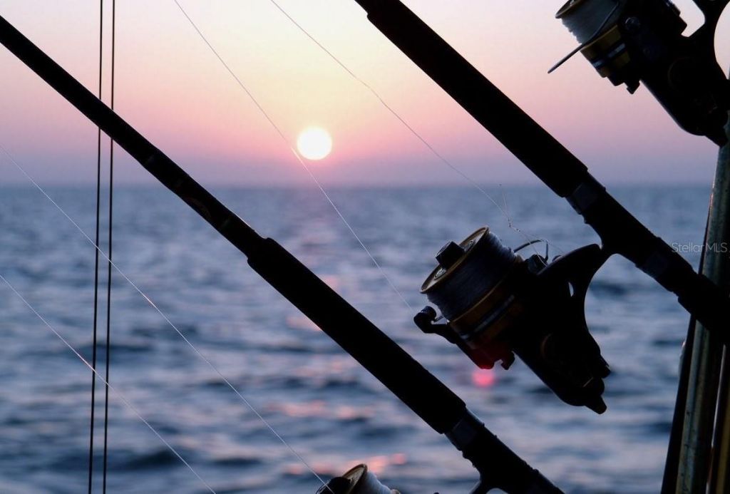 8915 Sterling Lane , Port Richey, FL 34668 Photo