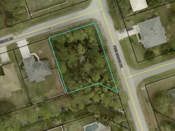 60 PINE CEDAR DRIVE, PALM COAST, FL 32164