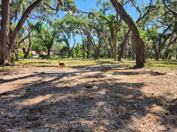 MUCK POND ROAD, SEFFNER, FL 33584