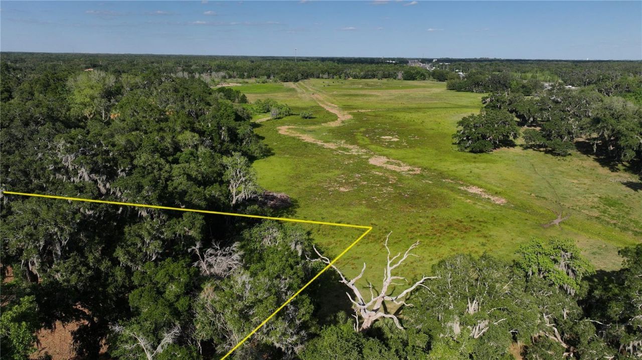 Muck Pond Road, Seffner, FL 33584 Photo