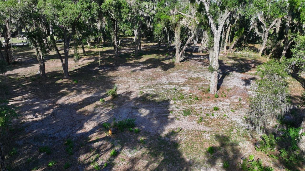 Muck Pond Road, Seffner, FL 33584 Photo