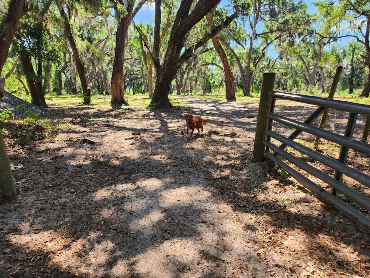 Muck Pond Road, Seffner, FL 33584 Photo