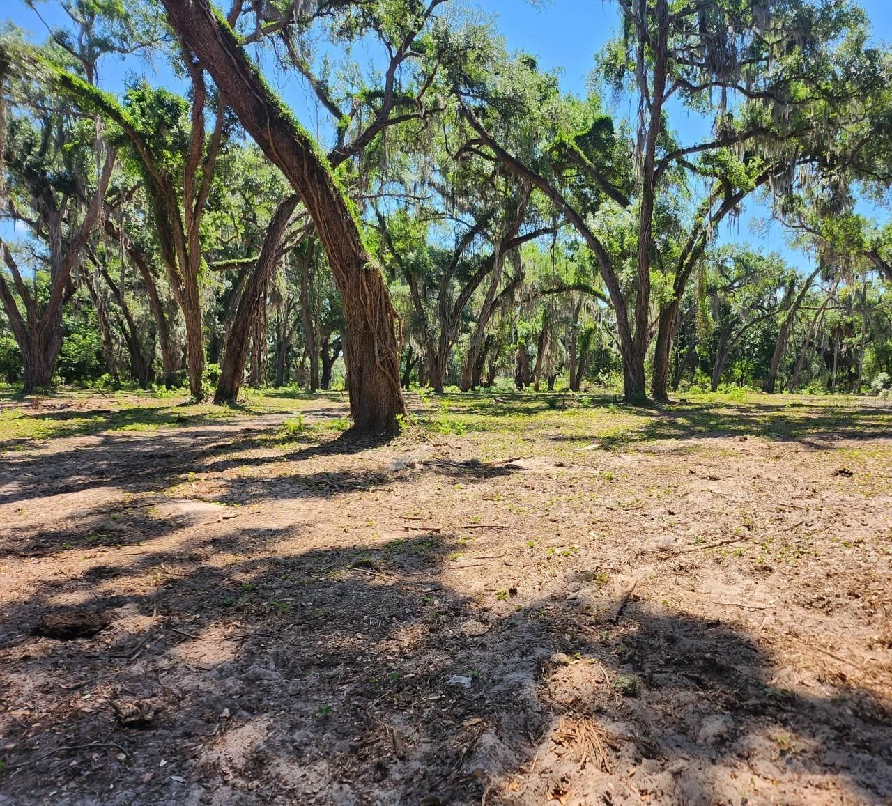 Muck Pond Road, Seffner, FL 33584 Photo