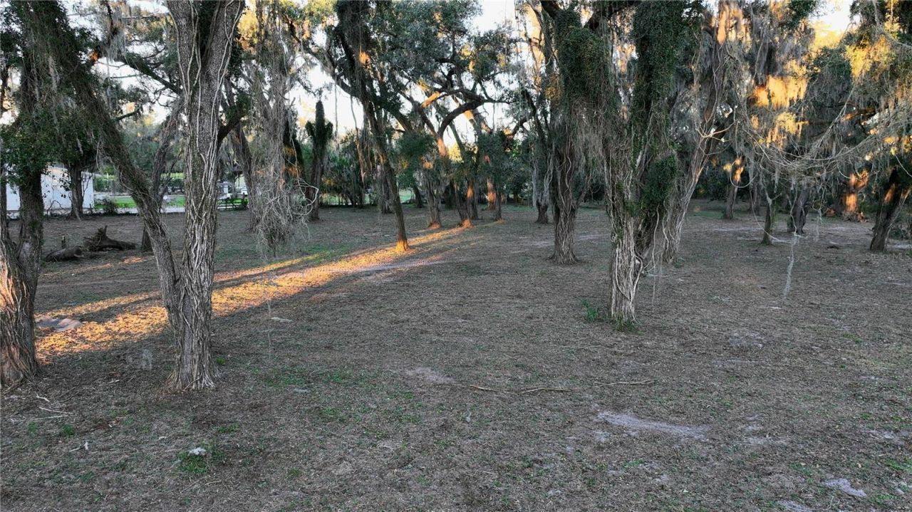 Muck Pond Road, Seffner, FL 33584 Photo