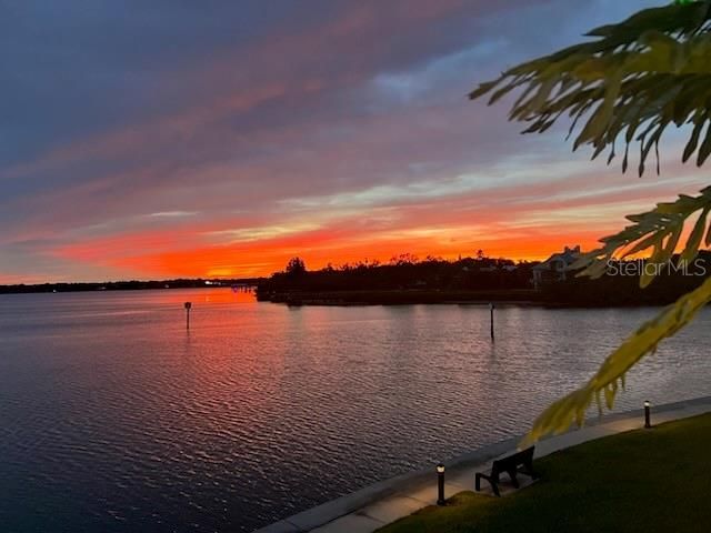 137 Brent Circle, Oldsmar, FL 34677 Photo
