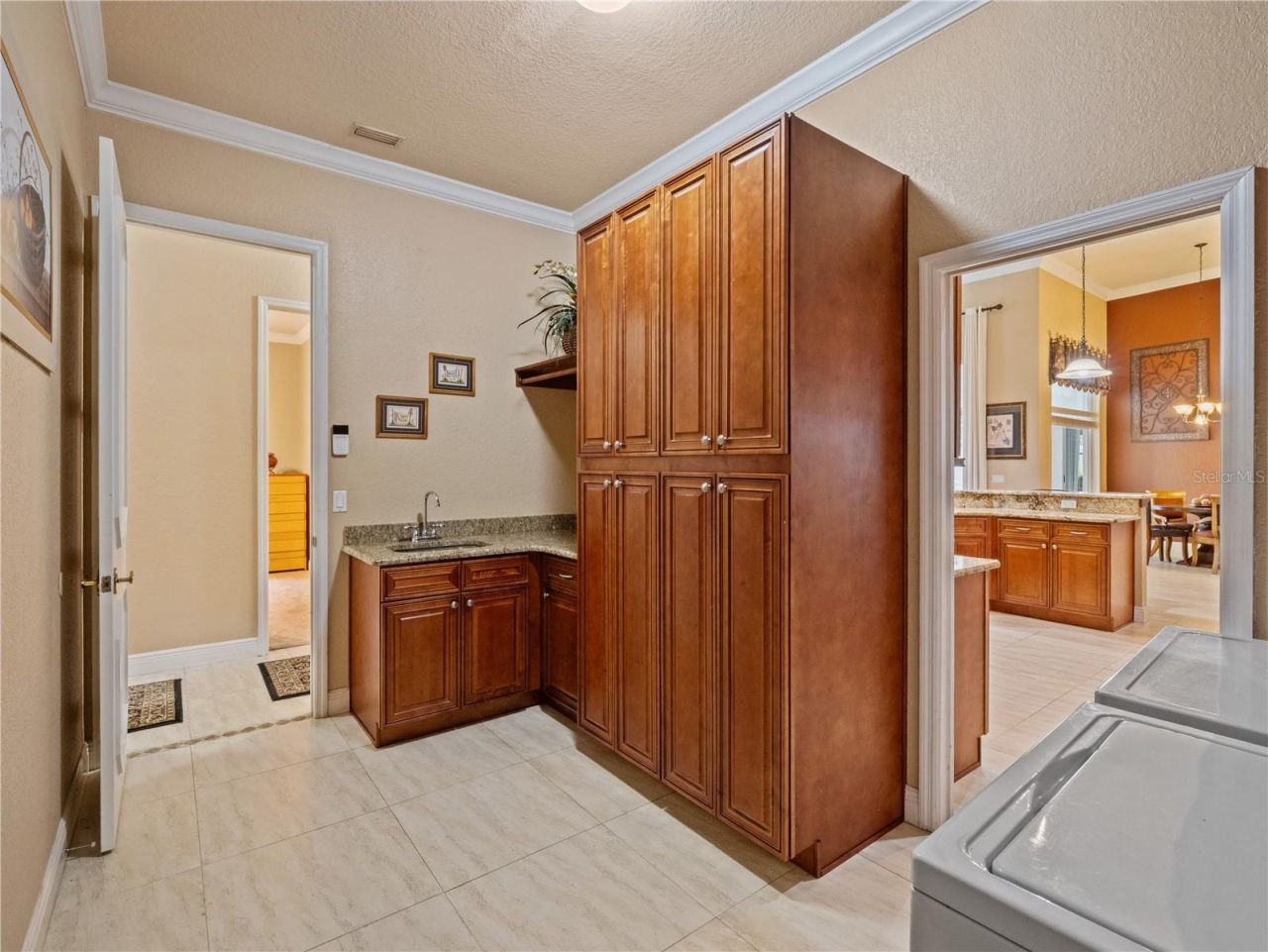 5021 Wesley Drive, Tampa, FL 33647 Photo