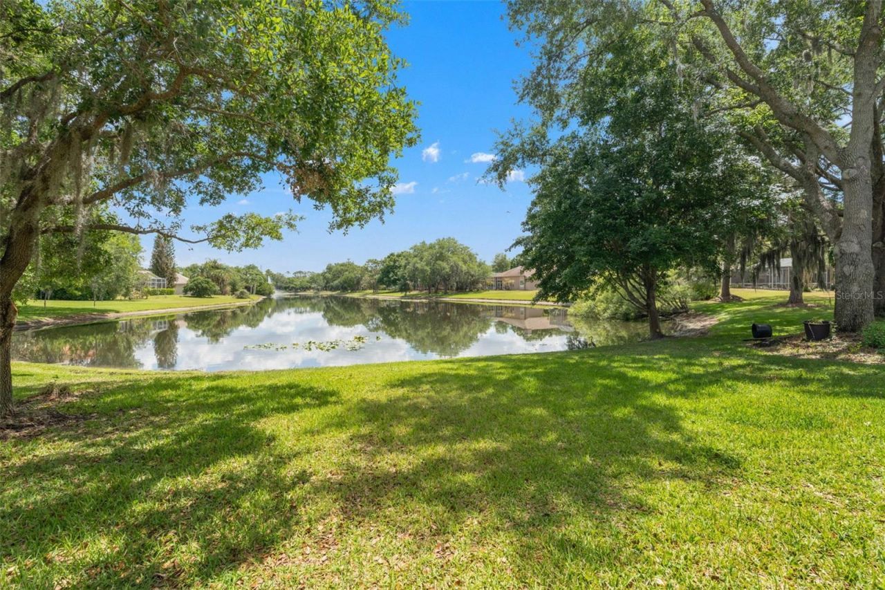 5021 Wesley Drive, Tampa, FL 33647 Photo