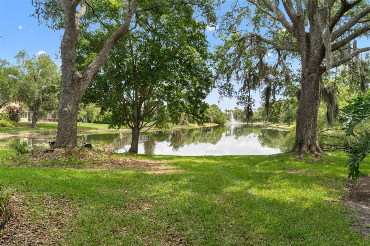 5021 Wesley Drive, Tampa, FL 33647 Photo