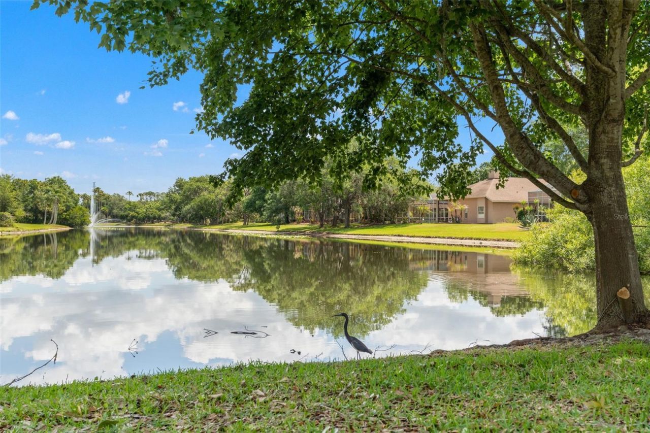 5021 Wesley Drive, Tampa, FL 33647 Photo