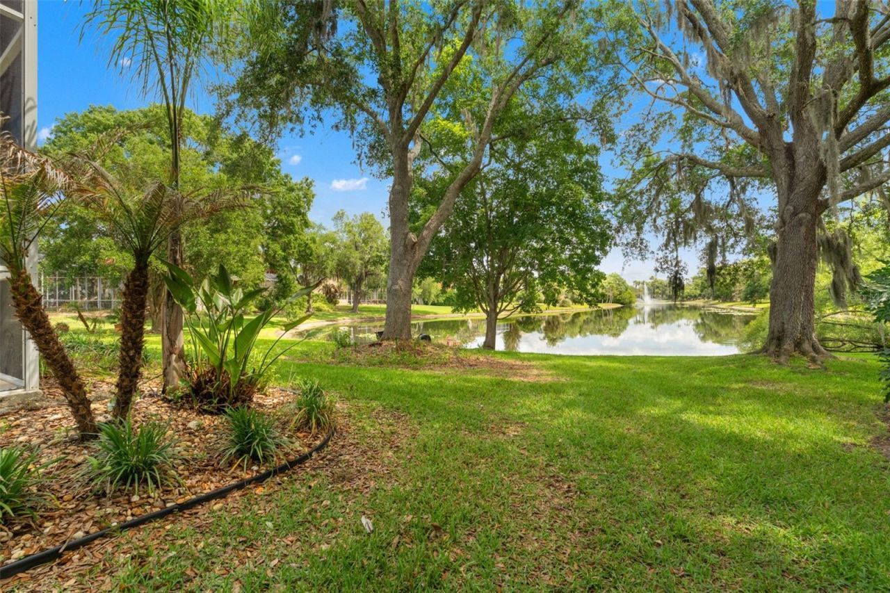 5021 Wesley Drive, Tampa, FL 33647 Photo
