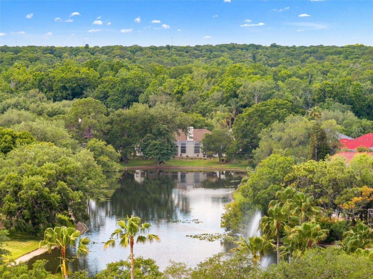 5021 Wesley Drive, Tampa, FL 33647 Photo