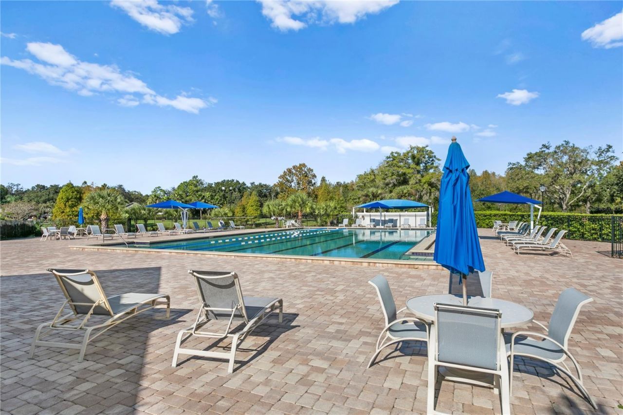 5021 Wesley Drive, Tampa, FL 33647 Photo