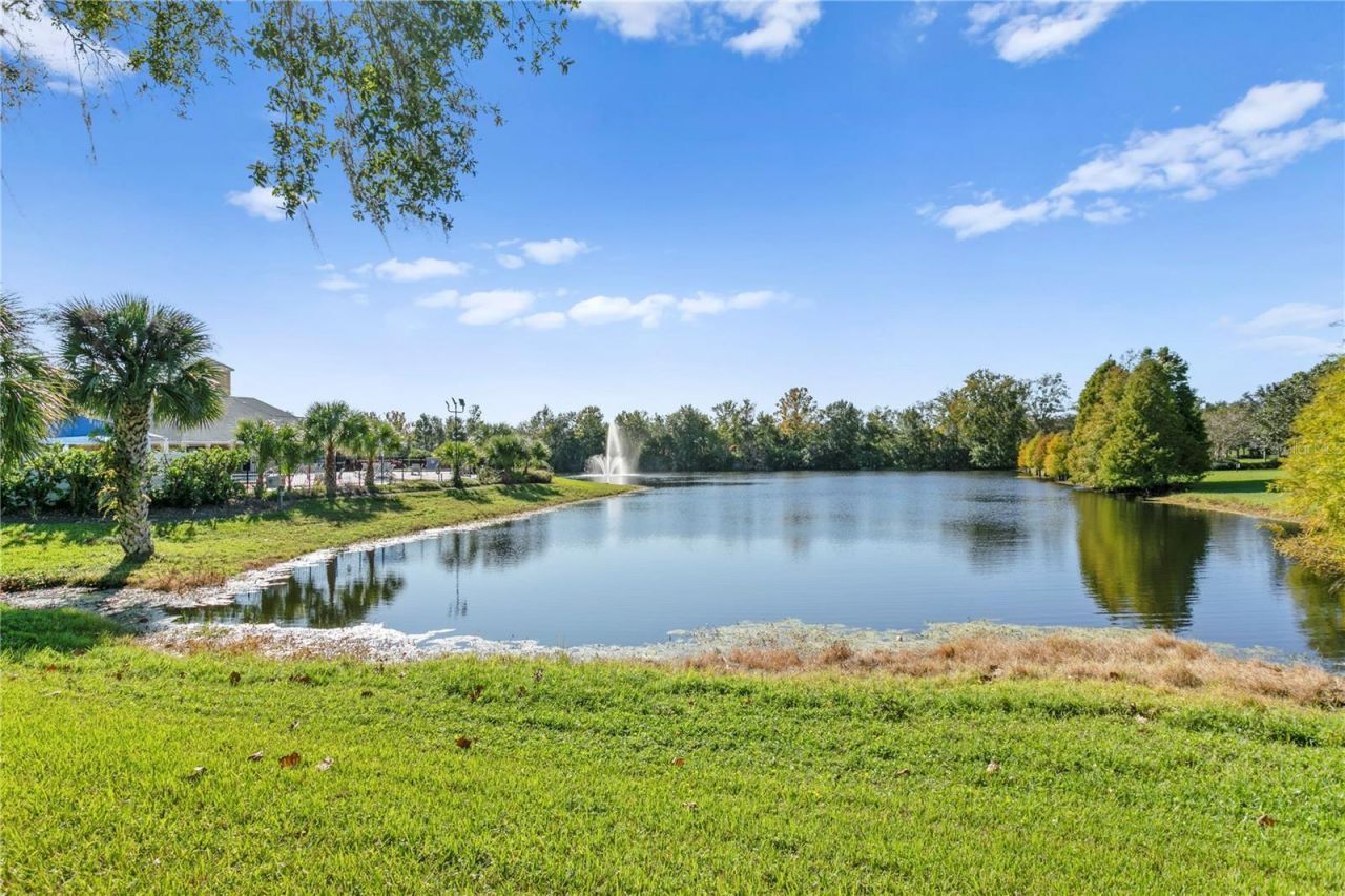 5021 Wesley Drive, Tampa, FL 33647 Photo