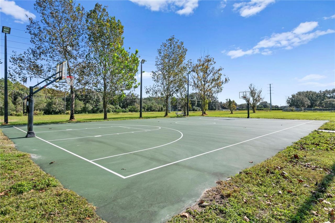 5021 Wesley Drive, Tampa, FL 33647 Photo