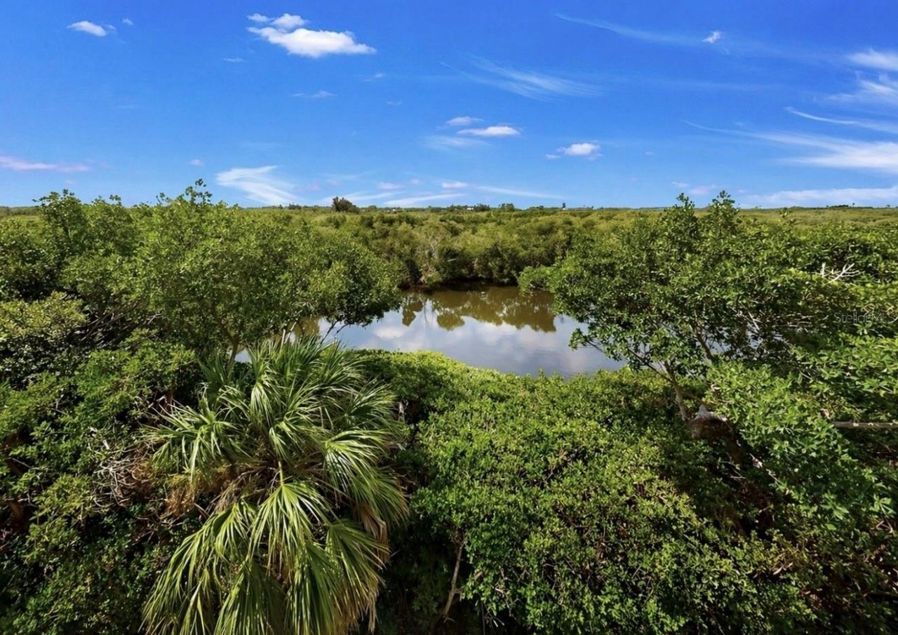 3202 Mangrove Point Drive, Ruskin, FL 33570 Photo