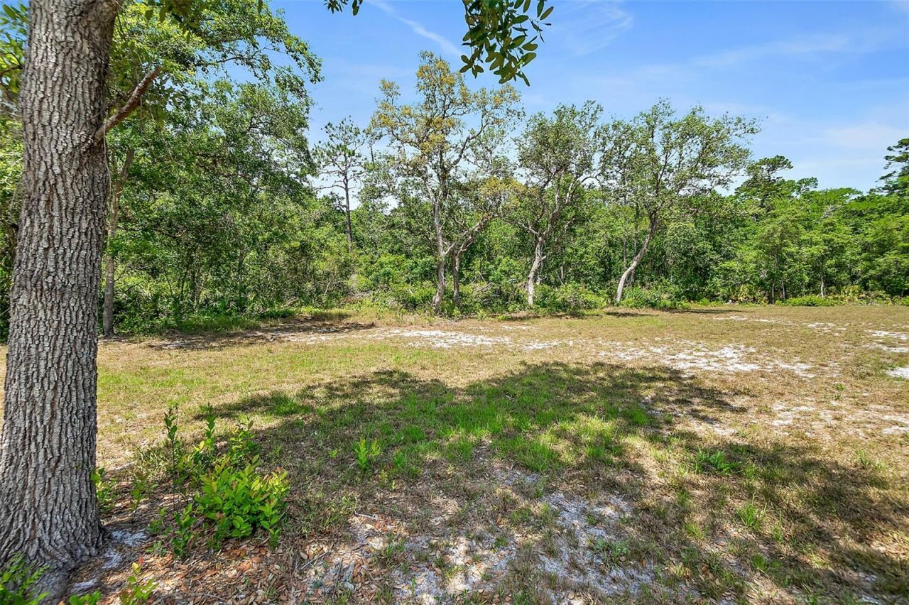 1370 Buckles Road, Pierson, FL 32180 Photo