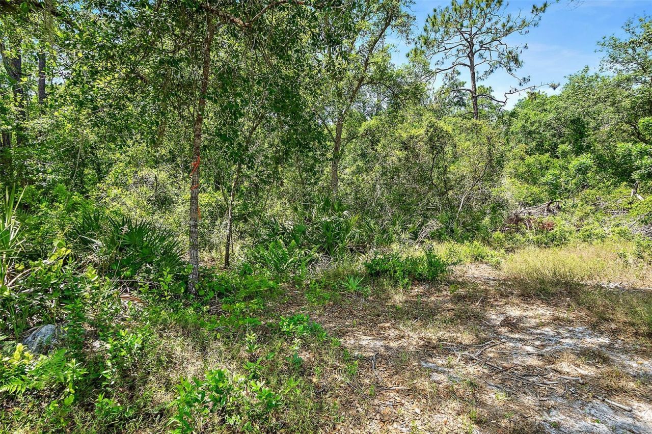 1370 Buckles Road, Pierson, FL 32180 Photo