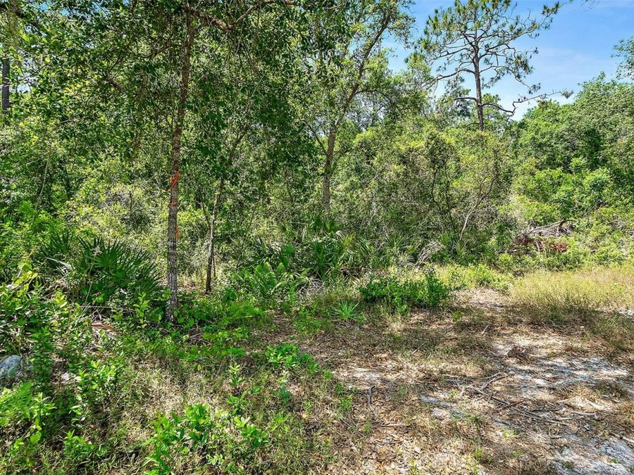 Property Image 48
