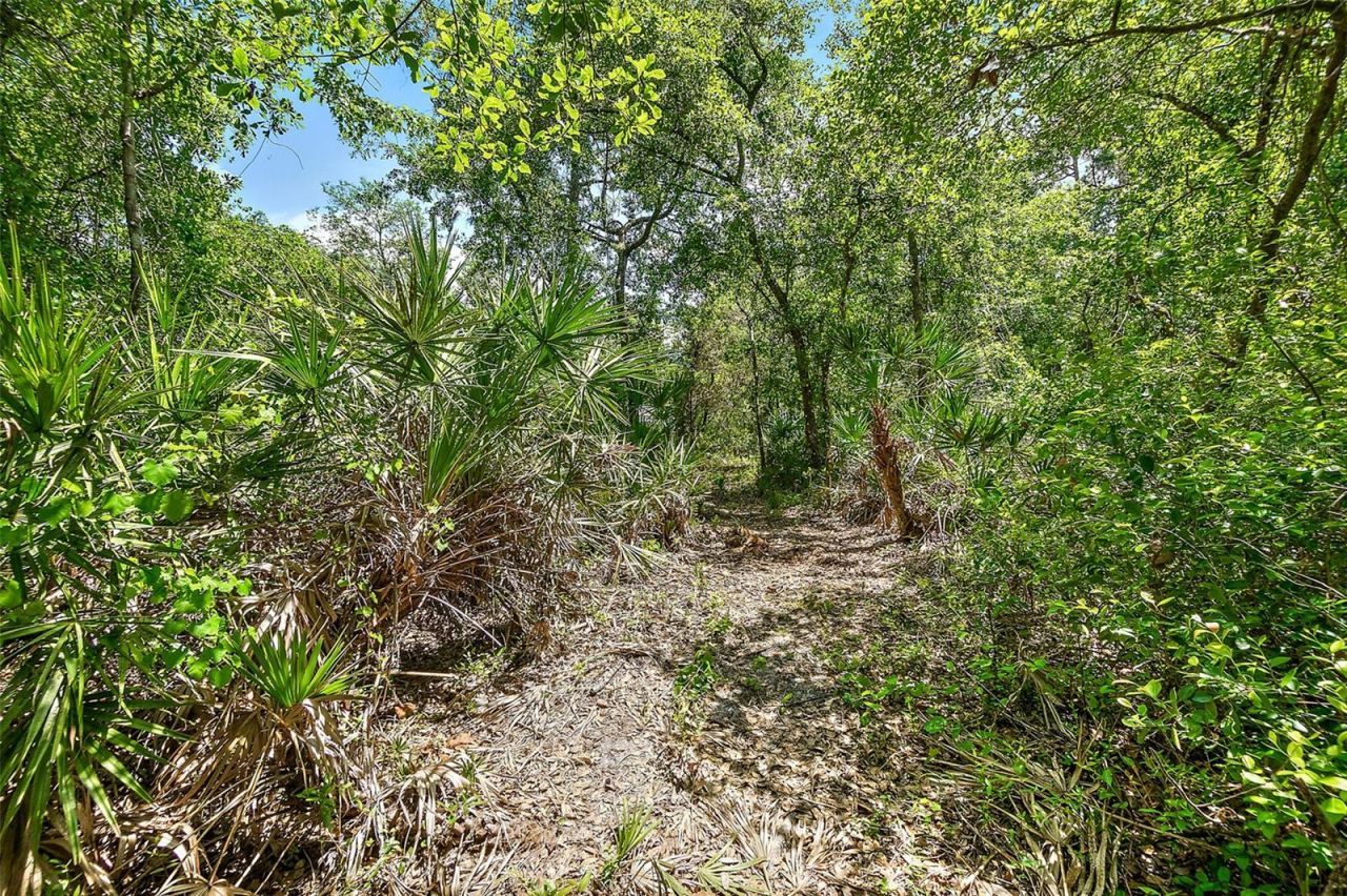 1370 Buckles Road, Pierson, FL 32180 Photo