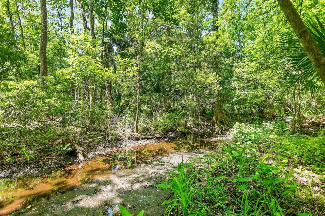 1370 Buckles Road, Pierson, FL 32180 Photo