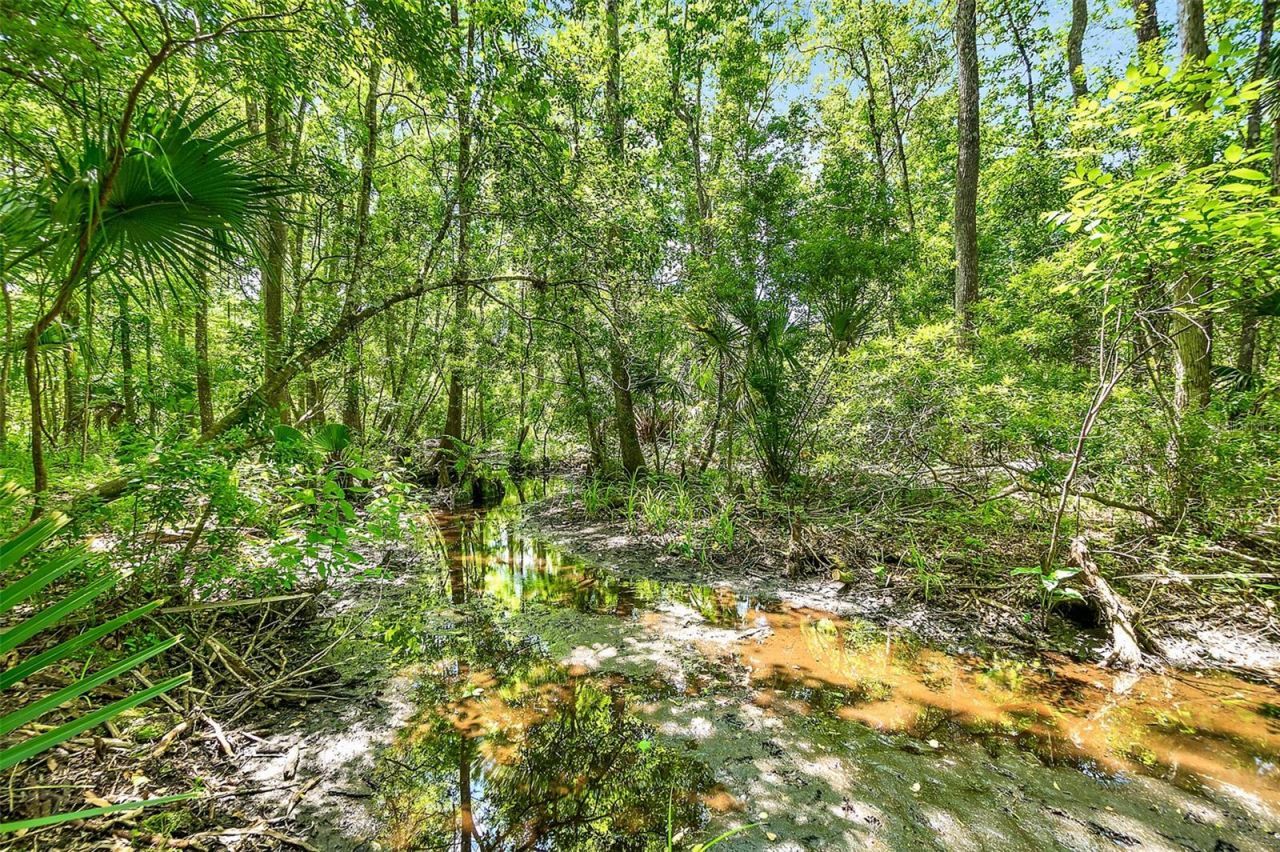 1370 Buckles Road, Pierson, FL 32180 Photo