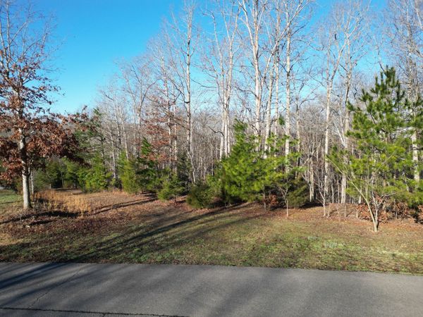 0 Red Fox Run, Nunnelly, TN 37137