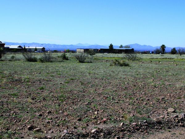 .45 Acres E Madrone Drive, Unit 738, Douglas, AZ 85607