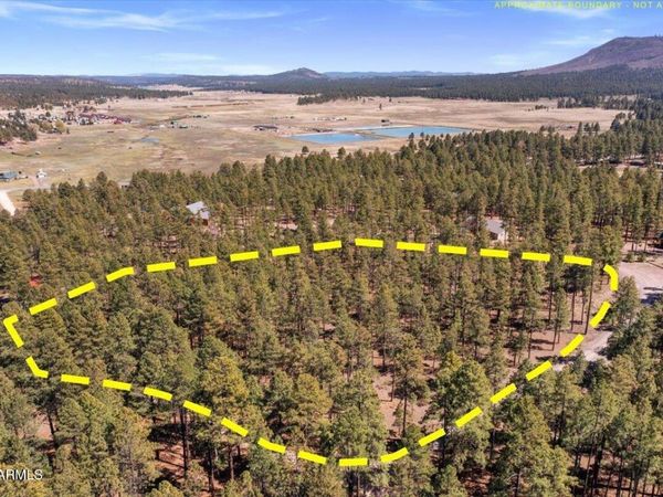 TBD County Rd 2325, Unit -, Alpine, AZ 85920