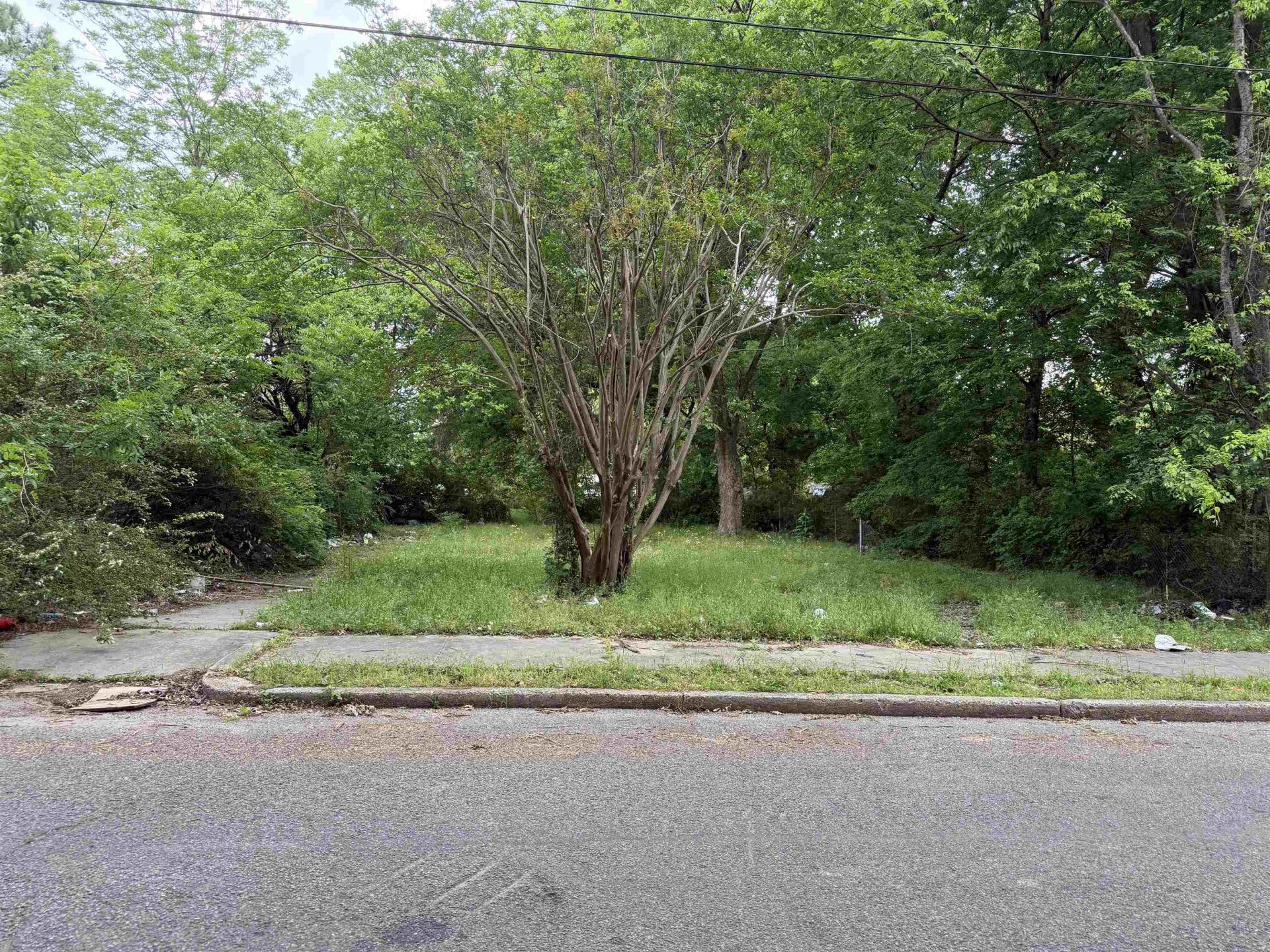 884 Kippley St, Memphis, TN 38112 Main Photo