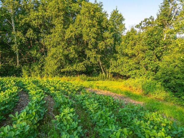 TBD County S Road, Blair, WI 54616