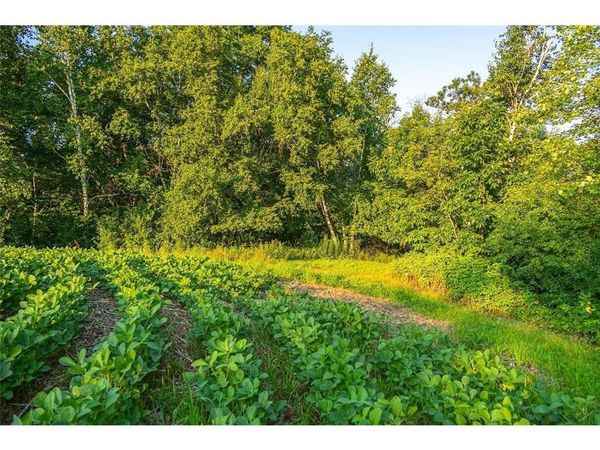 TBD County S Road, Blair, WI 54616