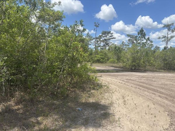 0 Holopaw Groves Road, St. Cloud, FL 34772