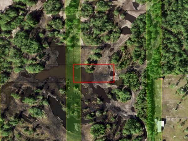 0 Holopaw Groves Road, St. Cloud, FL 34772