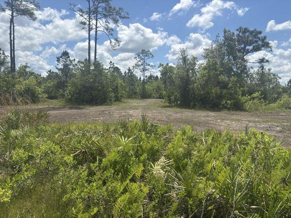0 Holopaw Groves Road, St. Cloud, FL 34772